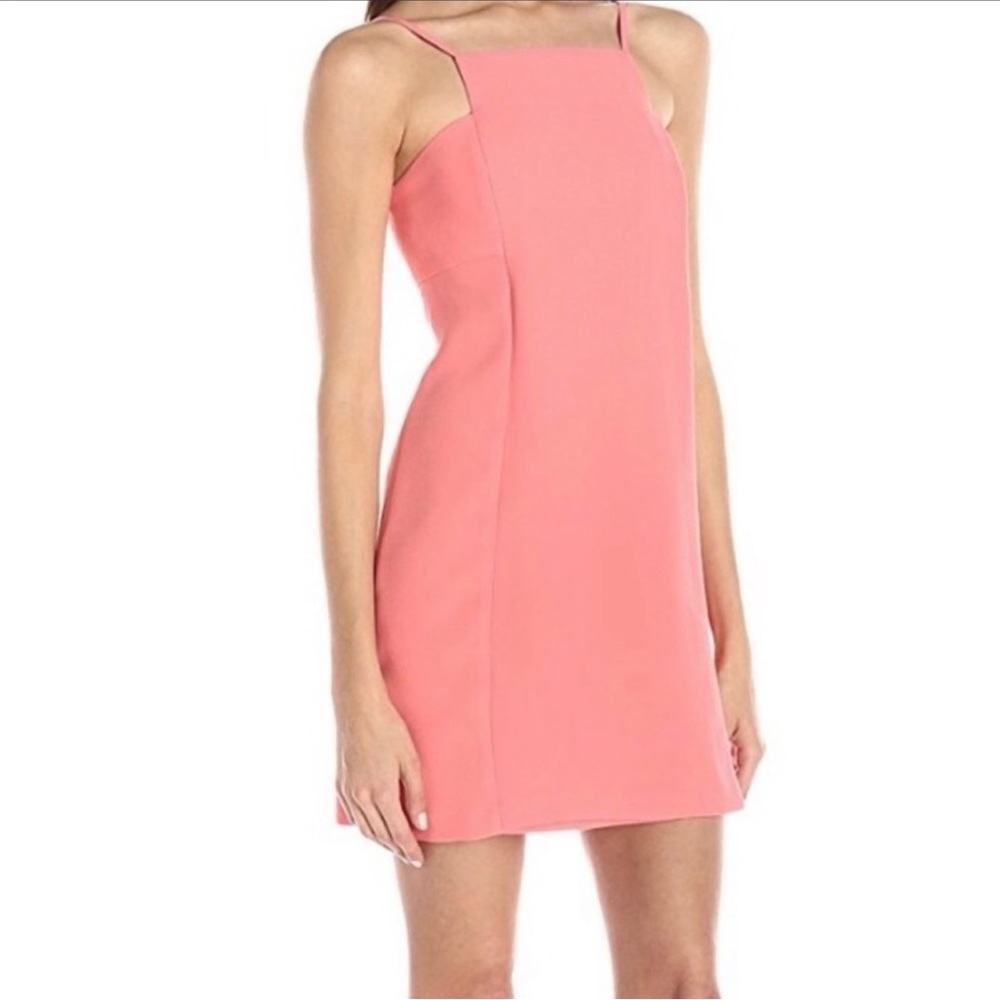 BCBG dress